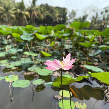 Huong Tram Homestay Ho Da ภายนอก รูปภาพ