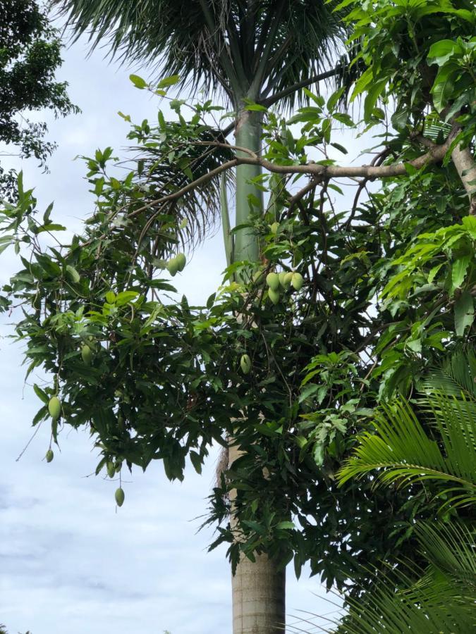 Huong Tram Homestay Ho Da ภายนอก รูปภาพ