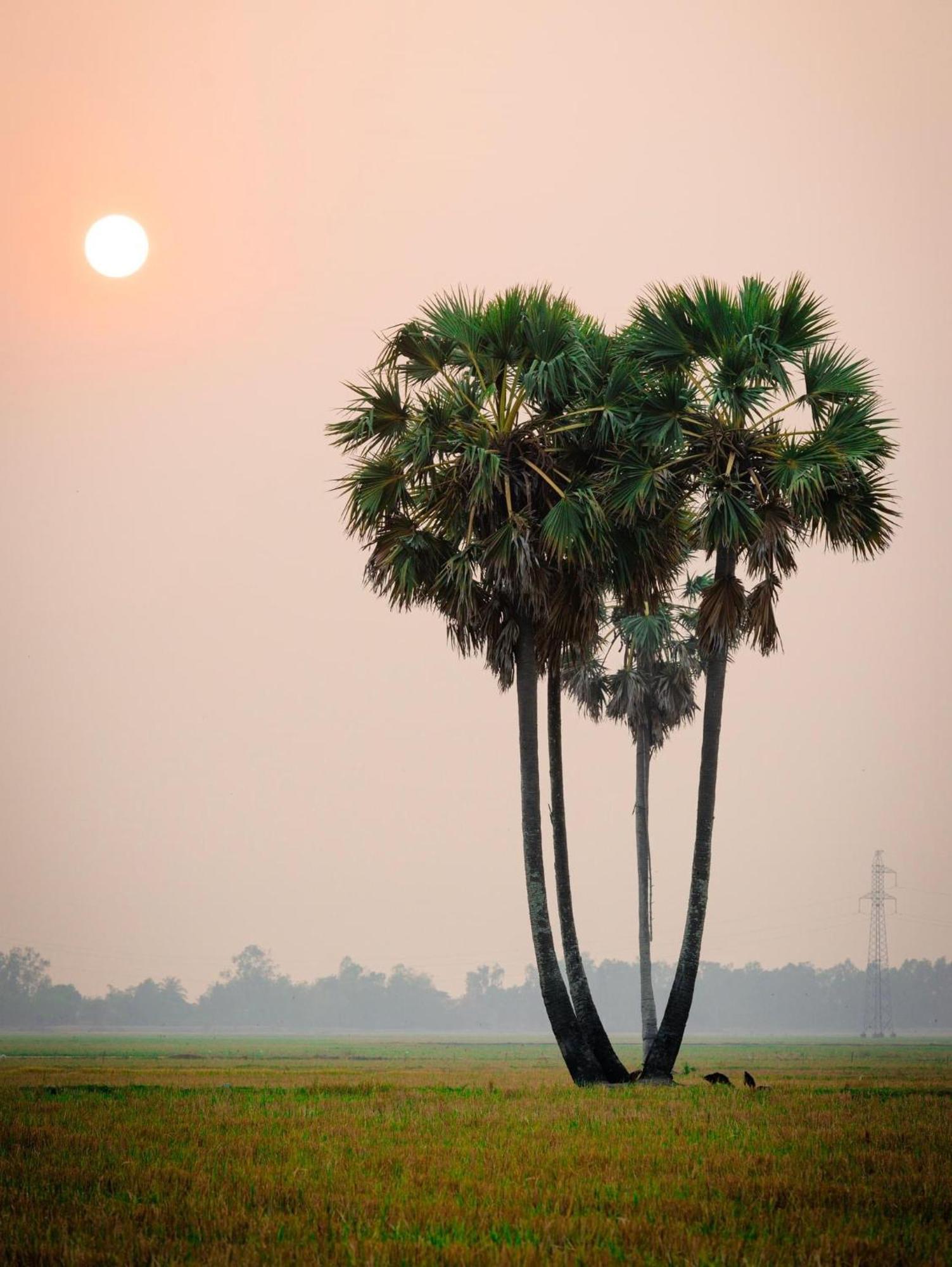 Huong Tram Homestay Ho Da ภายนอก รูปภาพ