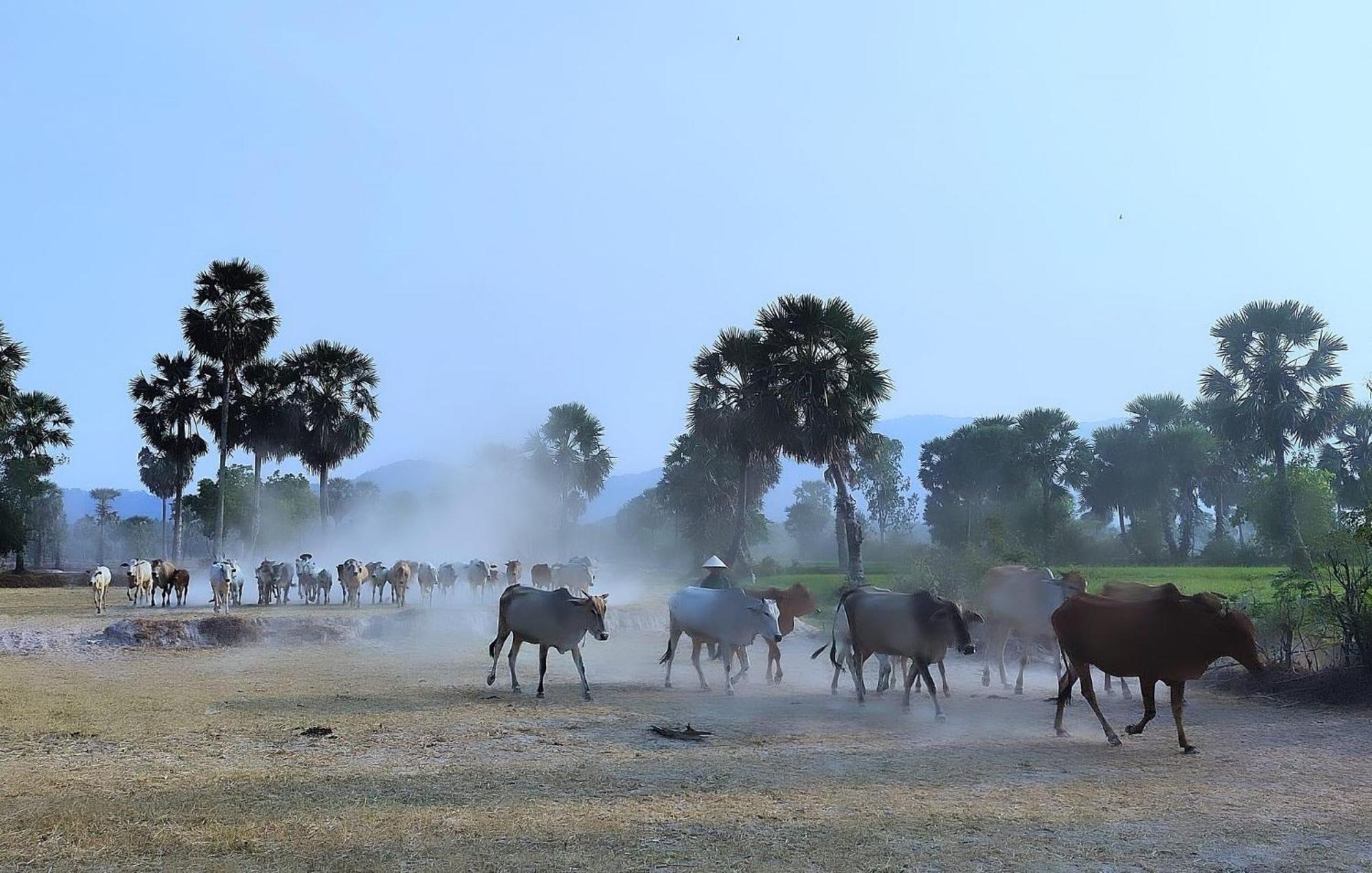 Huong Tram Homestay Ho Da ภายนอก รูปภาพ