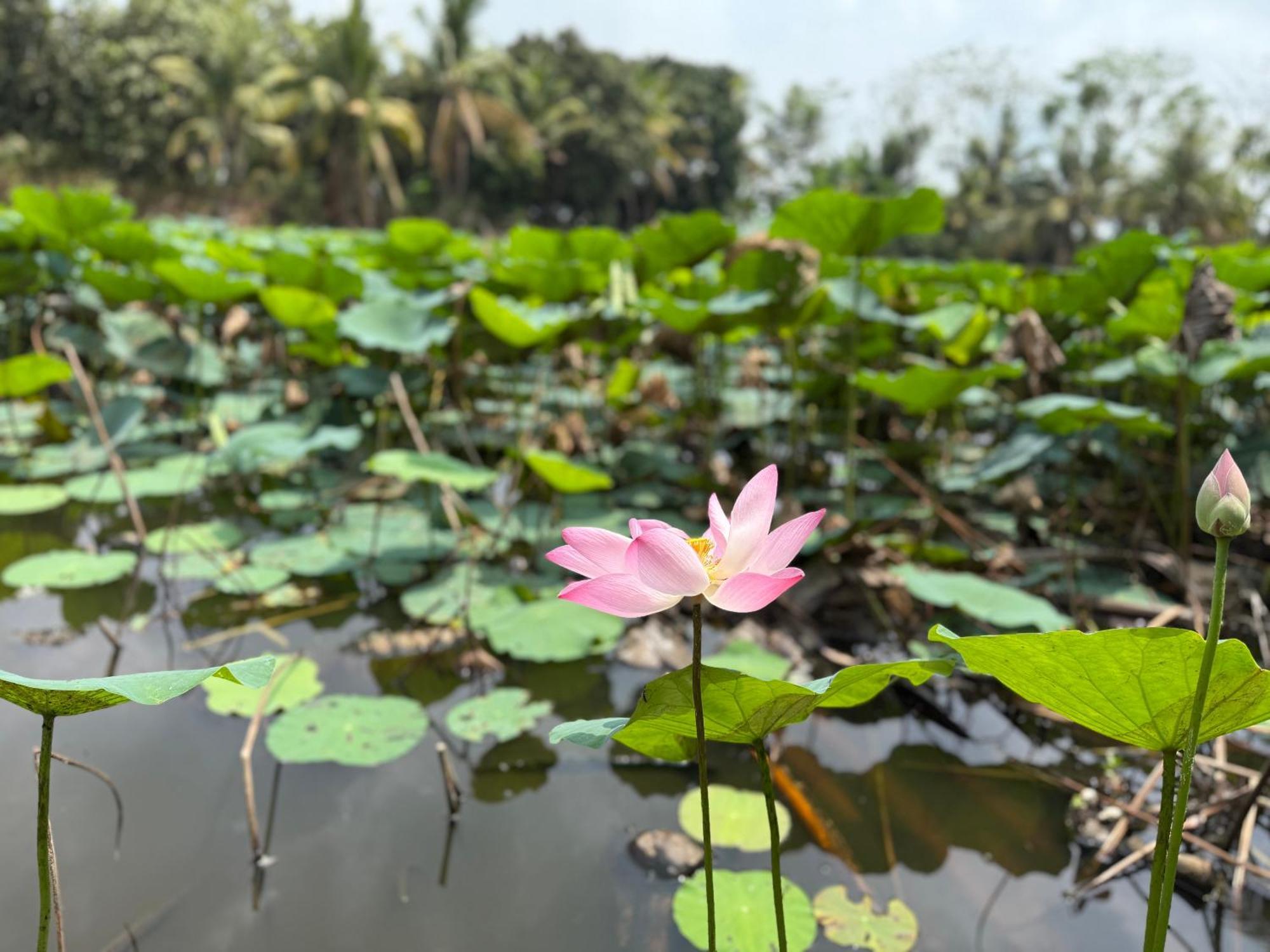 Huong Tram Homestay Ho Da ภายนอก รูปภาพ