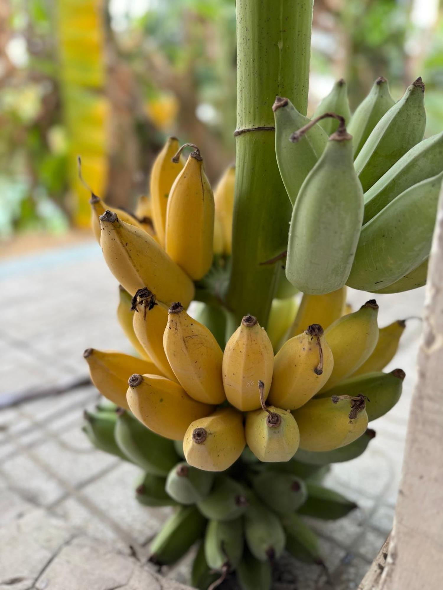 Huong Tram Homestay Ho Da ภายนอก รูปภาพ