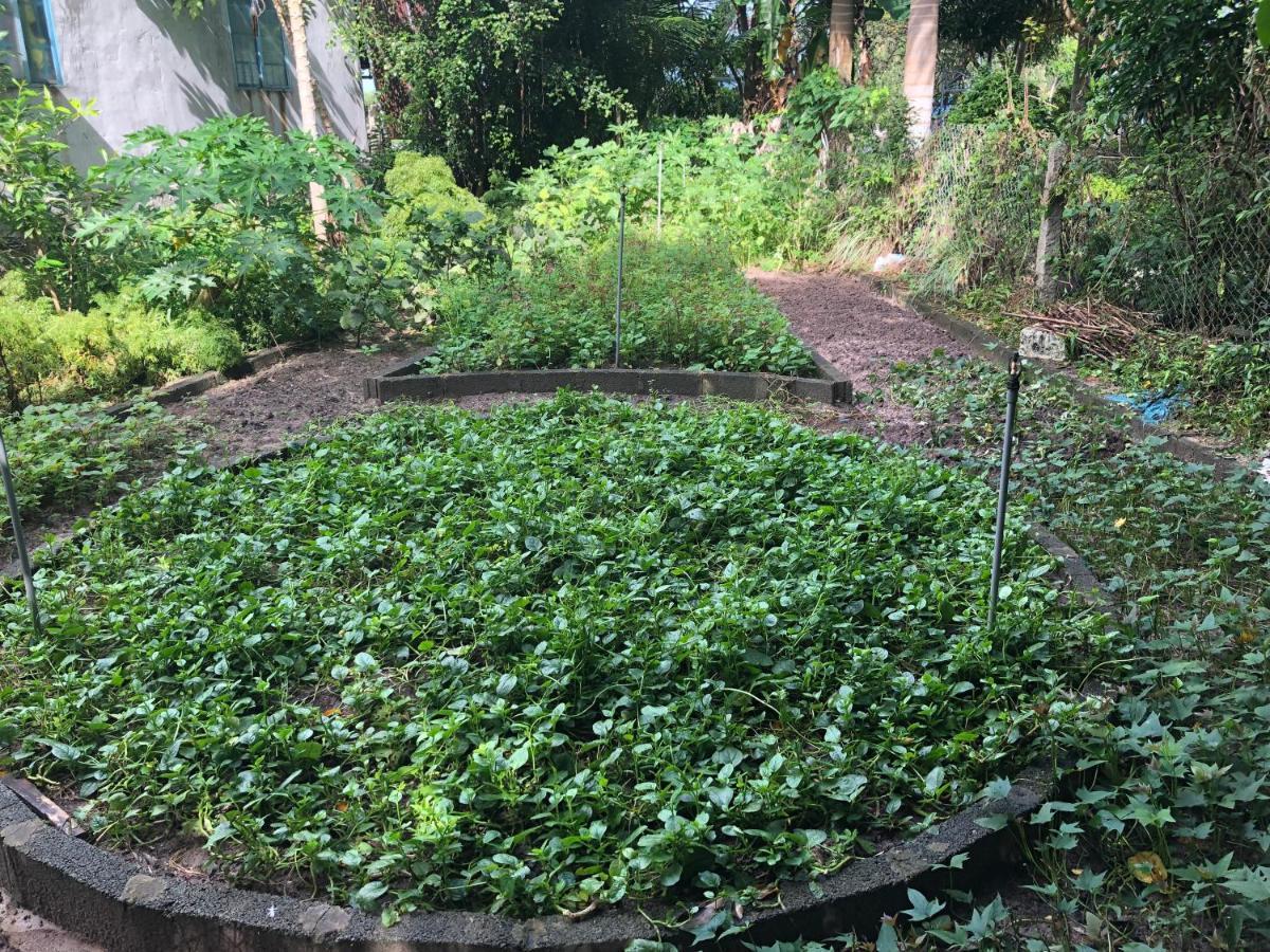 Huong Tram Homestay Ho Da ภายนอก รูปภาพ